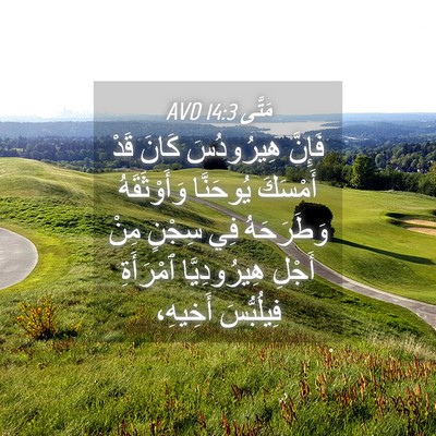 Picture 04 - مَتَّى 14:3 AVD - فَإِنَّ هِيرُودُسَ كَانَ - Bible Verse Picture