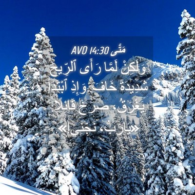 Picture 04 - مَتَّى 14:30 AVD - وَلَكِنْ لَمَّا رَأَى - Bible Verse Picture