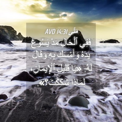 Picture 04 - مَتَّى 14:31 AVD - فَفِي ٱلْحَالِ مَدَّ - Bible Verse Picture