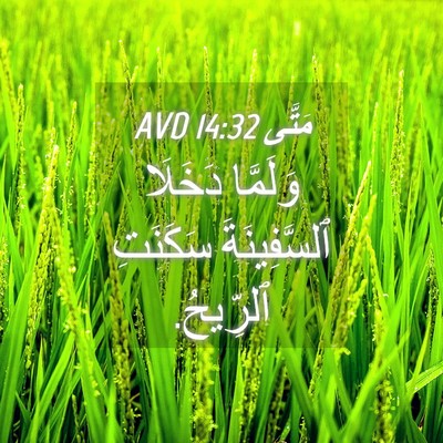 Picture 04 - مَتَّى 14:32 AVD - وَلَمَّا دَخَلَا - Bible Verse Picture