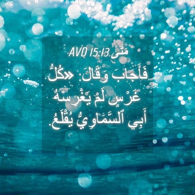 Picture 04 - مَتَّى 15:13 AVD - فَأَجَابَ وَقَالَ: «كُلُّ - Bible Verse Picture