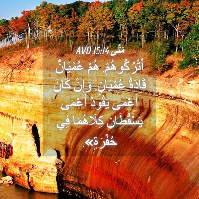 Picture 04 - مَتَّى 15:14 AVD - اُتْرُكُوهُمْ. هُمْ - Bible Verse Picture