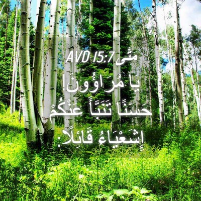 Picture 04 - مَتَّى 15:7 AVD - يَا مُرَاؤُونَ! حَسَنًا - Bible Verse Picture