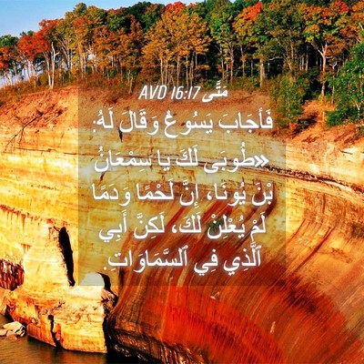 Picture 04 - مَتَّى 16:17 AVD - فَأجَابَ يَسُوعُ وَقَالَ - Bible Verse Picture