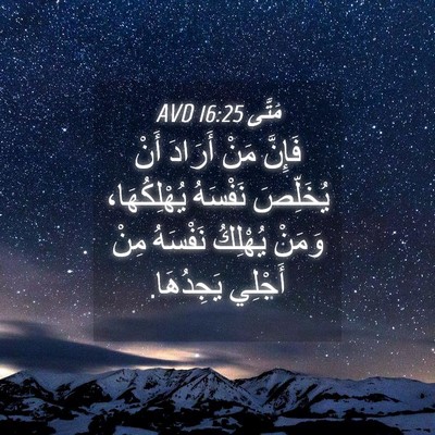 Picture 04 - مَتَّى 16:25 AVD - فَإِنَّ مَنْ أَرَادَ أَنْ - Bible Verse Picture