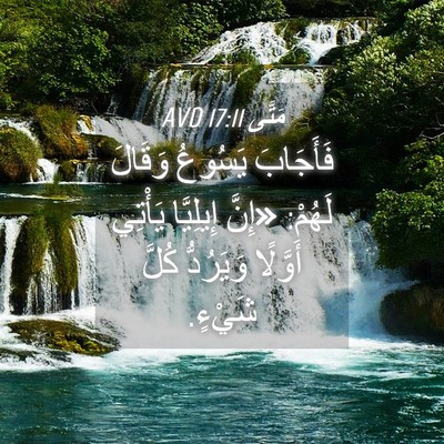 Picture 04 - مَتَّى 17:11 AVD - فَأَجَابَ يَسُوعُ وَقَالَ - Bible Verse Picture