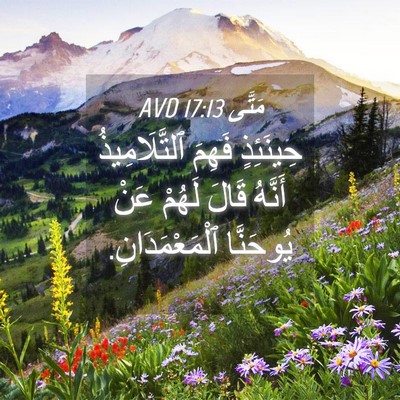 Picture 04 - مَتَّى 17:13 AVD - حِينَئِذٍ فَهِمَ - Bible Verse Picture