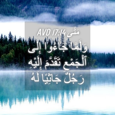 Picture 04 - مَتَّى 17:14 AVD - وَلَمَّا جَاءُوا إِلَى - Bible Verse Picture
