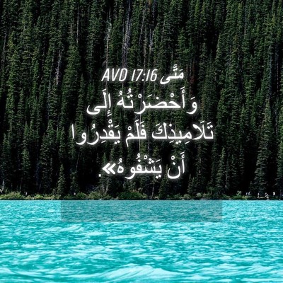 Picture 04 - مَتَّى 17:16 AVD - وَأَحْضَرْتُهُ إِلَى - Bible Verse Picture