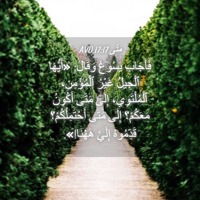 Picture 04 - مَتَّى 17:17 AVD - فَأَجَابَ يَسُوعُ وَقَالَ: - Bible Verse Picture