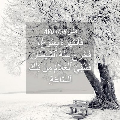 Picture 04 - مَتَّى 17:18 AVD - فَٱنْتَهَرَهُ يَسُوعُ، - Bible Verse Picture