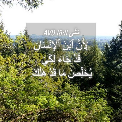 Picture 04 - مَتَّى 18:11 AVD - لِأَنَّ ٱبْنَ - Bible Verse Picture
