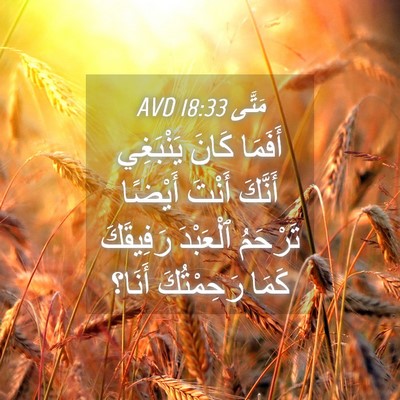 Picture 04 - مَتَّى 18:33 AVD - أَفَمَا كَانَ يَنْبَغِي - Bible Verse Picture