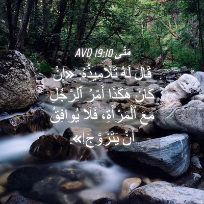 Picture 04 - مَتَّى 19:10 AVD - قَالَ لَهُ تَلَامِيذُهُ: - Bible Verse Picture