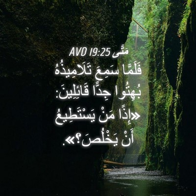 Picture 04 - مَتَّى 19:25 AVD - فَلَمَّا سَمِعَ - Bible Verse Picture