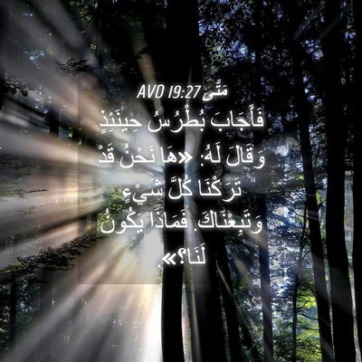 Picture 04 - مَتَّى 19:27 AVD - فَأَجَابَ بُطْرُسُ - Bible Verse Picture