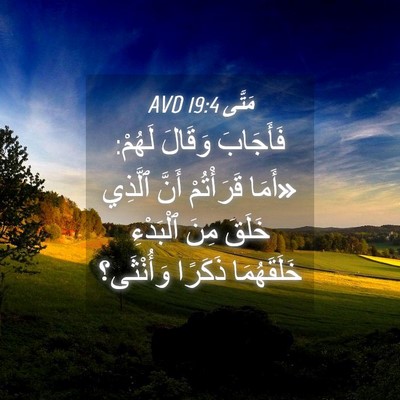 Picture 04 - مَتَّى 19:4 AVD - فَأَجَابَ وَقَالَ لَهُمْ: - Bible Verse Picture