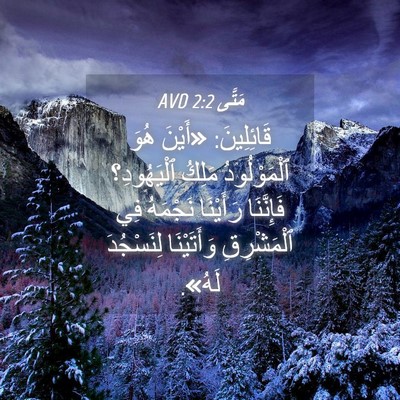 Picture 04 - مَتَّى 2:2 AVD - قَائِلِينَ: «أَيْنَ هُوَ - Bible Verse Picture