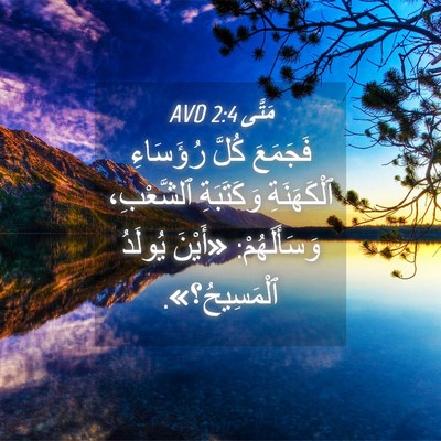 Picture 04 - مَتَّى 2:4 AVD - فَجَمَعَ كُلَّ رُؤَسَاءِ - Bible Verse Picture