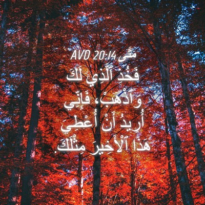 Picture 04 - مَتَّى 20:14 AVD - فَخُذِ ٱلَّذِي لَكَ - Bible Verse Picture