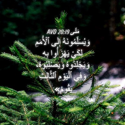 Picture 04 - مَتَّى 20:19 AVD - وَيُسَلِّمُونَهُ إِلَى - Bible Verse Picture