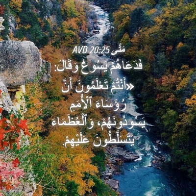 Picture 04 - مَتَّى 20:25 AVD - فَدَعَاهُمْ يَسُوعُ - Bible Verse Picture