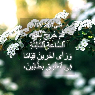 Picture 04 - مَتَّى 20:3 AVD - ثُمَّ خَرَجَ نَحْوَ - Bible Verse Picture