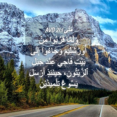 Picture 04 - مَتَّى 21:1 AVD - وَلَمَّا قَرُبُوا مِنْ - Bible Verse Picture