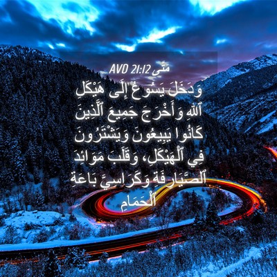 Picture 04 - مَتَّى 21:12 AVD - وَدَخَلَ يَسُوعُ إِلَى - Bible Verse Picture
