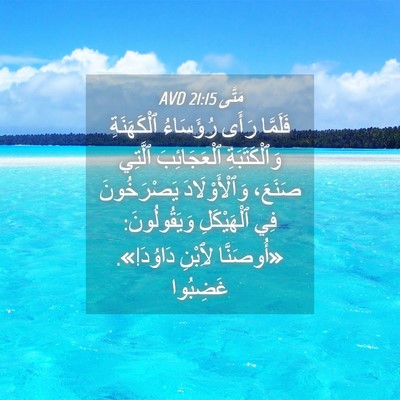 Picture 04 - مَتَّى 21:15 AVD - فَلَمَّا رَأَى رُؤَسَاءُ - Bible Verse Picture