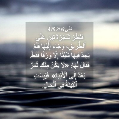 Picture 04 - مَتَّى 21:19 AVD - فَنَظَرَ شَجَرَةَ تِينٍ - Bible Verse Picture