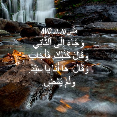 Picture 04 - مَتَّى 21:30 AVD - وَجَاءَ إِلَى ٱلثَّانِي - Bible Verse Picture