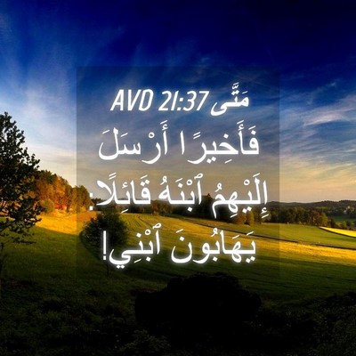 Picture 04 - مَتَّى 21:37 AVD - فَأَخِيرًا أَرْسَلَ - Bible Verse Picture