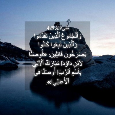 Picture 04 - مَتَّى 21:9 AVD - وَٱلْجُمُوعُ ٱلَّذِينَ - Bible Verse Picture