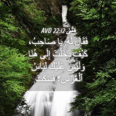 Picture 04 - مَتَّى 22:12 AVD - فَقَالَ لَهُ: يا صَاحِبُ، - Bible Verse Picture