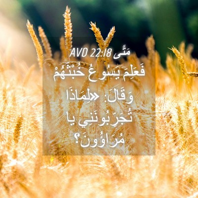 Picture 04 - مَتَّى 22:18 AVD - فَعَلِمَ يَسُوعُ - Bible Verse Picture