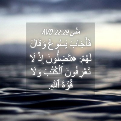 Picture 04 - مَتَّى 22:29 AVD - فَأَجَابَ يَسُوعُ وَقَالَ - Bible Verse Picture