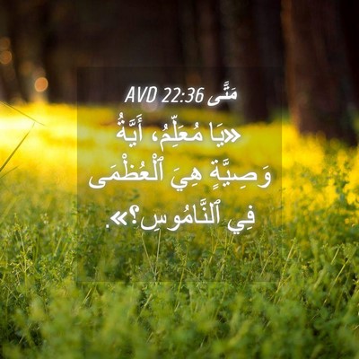 Picture 04 - مَتَّى 22:36 AVD - «يَا مُعَلِّمُ، أَيَّةُ - Bible Verse Picture