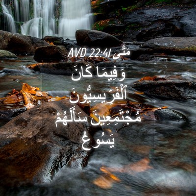 Picture 04 - مَتَّى 22:41 AVD - وَفِيمَا كَانَ - Bible Verse Picture