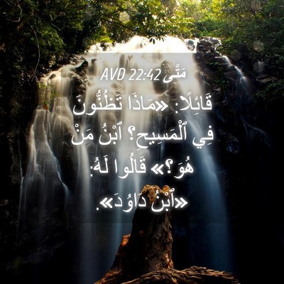 Picture 04 - مَتَّى 22:42 AVD - قَائِلًا: «مَاذَا - Bible Verse Picture