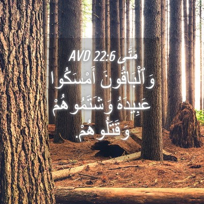 Picture 04 - مَتَّى 22:6 AVD - وَٱلْبَاقُونَ أَمْسَكُوا - Bible Verse Picture