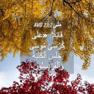 Picture 04 - مَتَّى 23:2 AVD - قَائِلًا: «عَلَى كُرْسِيِّ - Bible Verse Picture