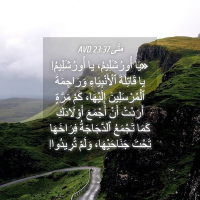 Picture 04 - مَتَّى 23:37 AVD - «يَا أُورُشَلِيمُ، يا - Bible Verse Picture