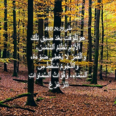 Picture 04 - مَتَّى 24:29 AVD - «وَلِلْوَقْتِ بَعْدَ - Bible Verse Picture