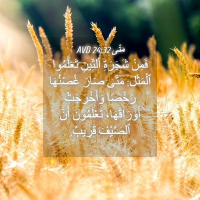 Picture 04 - مَتَّى 24:32 AVD - فَمِنْ شَجَرَةِ ٱلتِّينِ - Bible Verse Picture