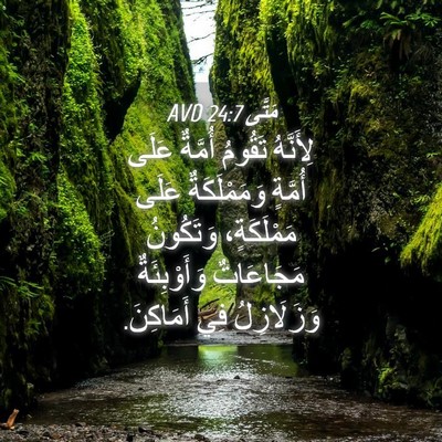 Picture 04 - مَتَّى 24:7 AVD - لِأَنَّهُ تَقُومُ أُمَّةٌ - Bible Verse Picture