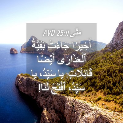 Picture 04 - مَتَّى 25:11 AVD - أَخِيرًا جَاءَتْ - Bible Verse Picture