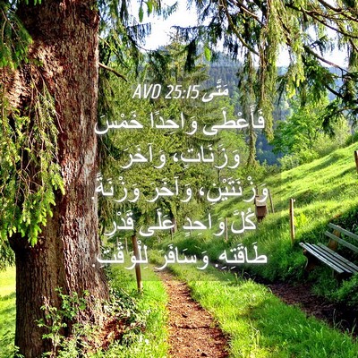 Picture 04 - مَتَّى 25:15 AVD - فَأَعْطَى وَاحِدًا خَمْسَ - Bible Verse Picture