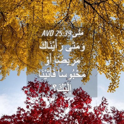 Picture 04 - مَتَّى 25:39 AVD - وَمَتَى رَأَيْنَاكَ - Bible Verse Picture
