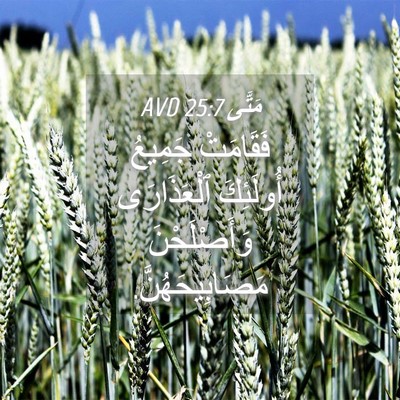 Picture 04 - مَتَّى 25:7 AVD - فَقَامَتْ جَمِيعُ - Bible Verse Picture